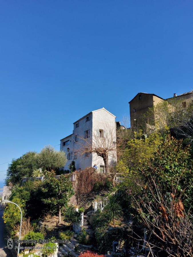 Maison Casa Nova Biguglia  Exterior photo